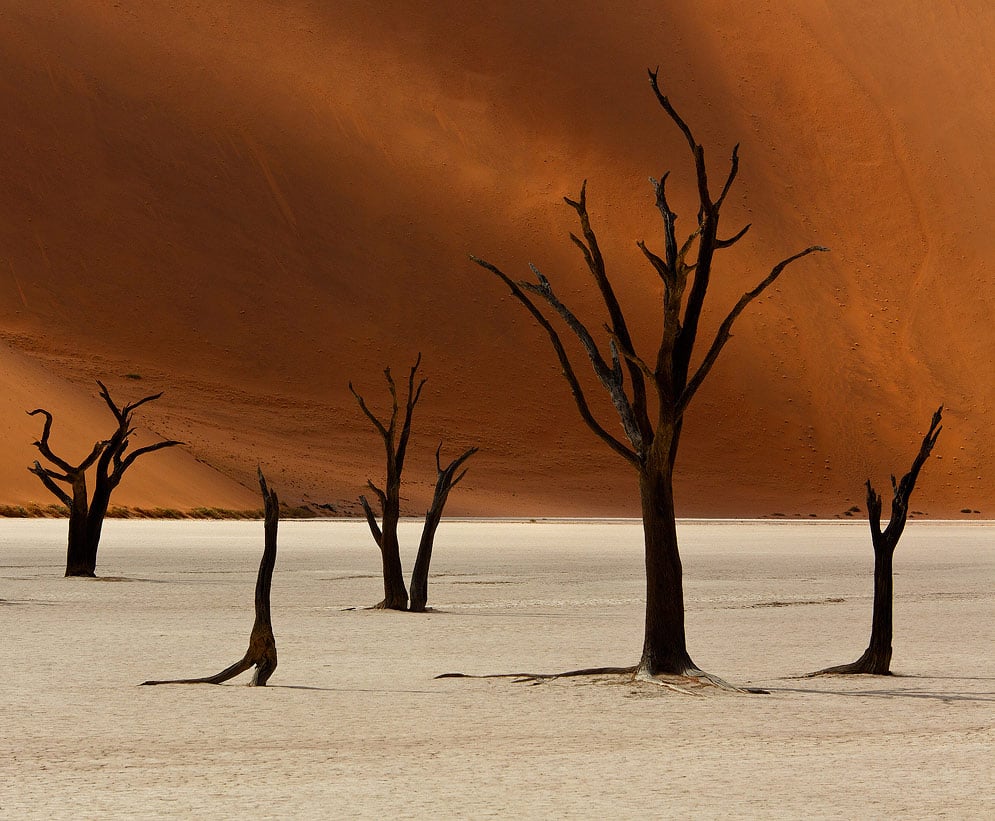 Namibia Photo Workshop